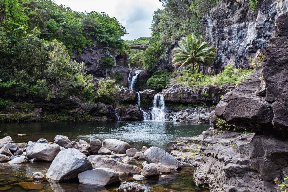 Product Road To Hana Adventure