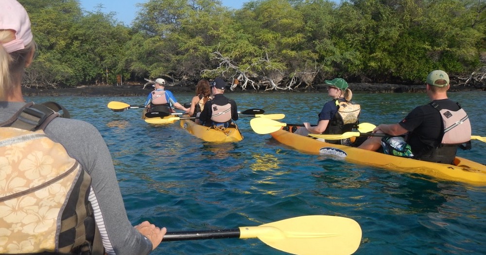 Product Keauhou Bay Kayak Adventure