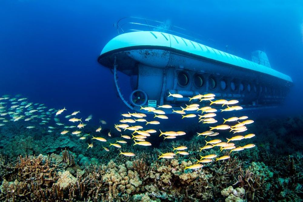 Product Atlantis Submarine Adventure