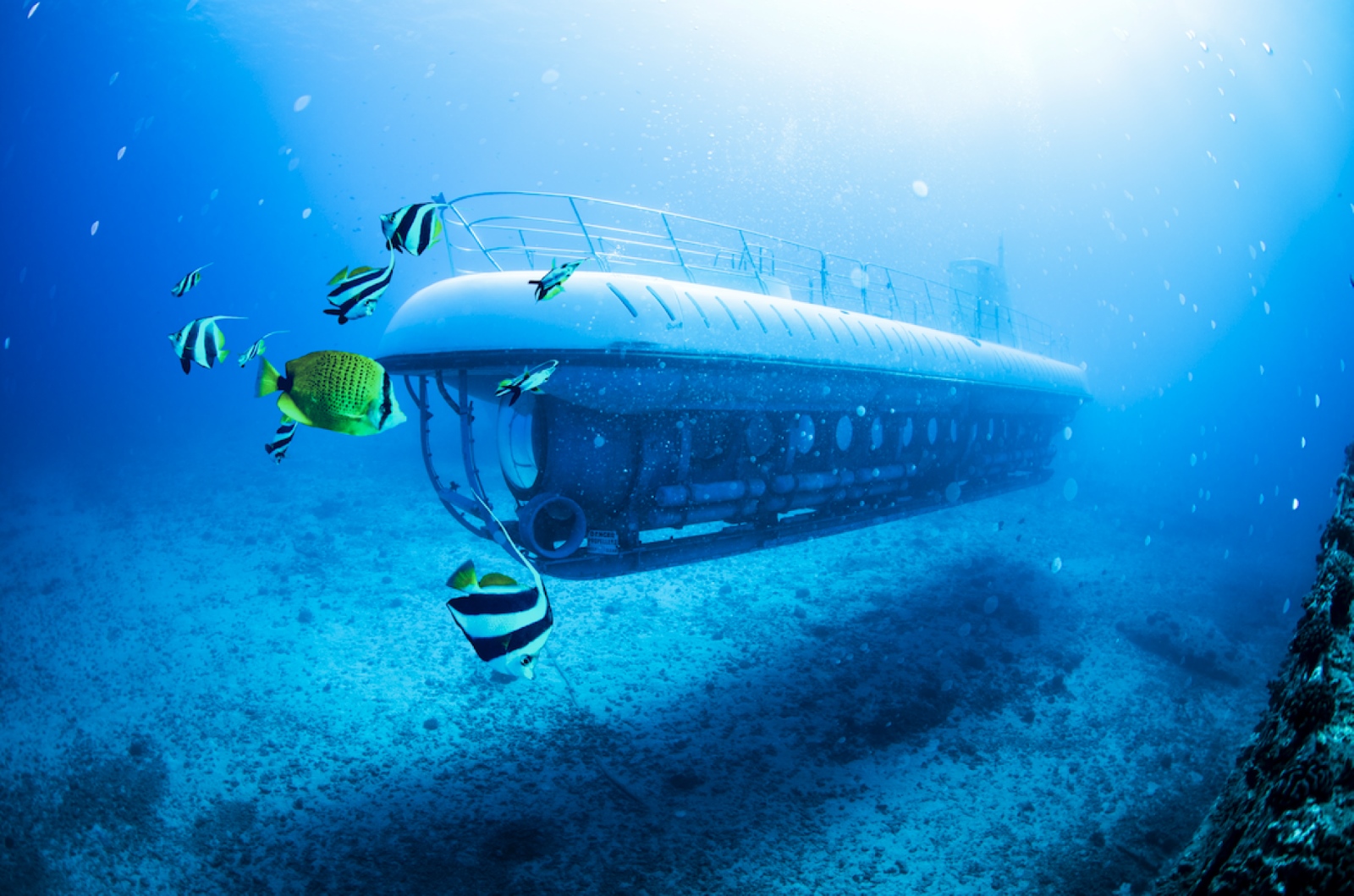 Product Atlantis Submarine Adventure