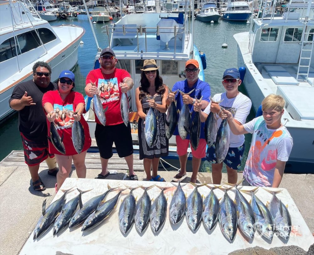 Product Sportfishing - 4 Hr Adventure