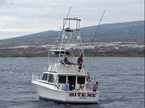 Product 4 Hour Sportfishing Private Charter