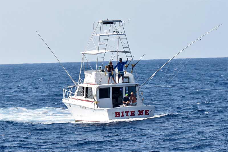 Product 4 Hour Sportfishing Private Charter