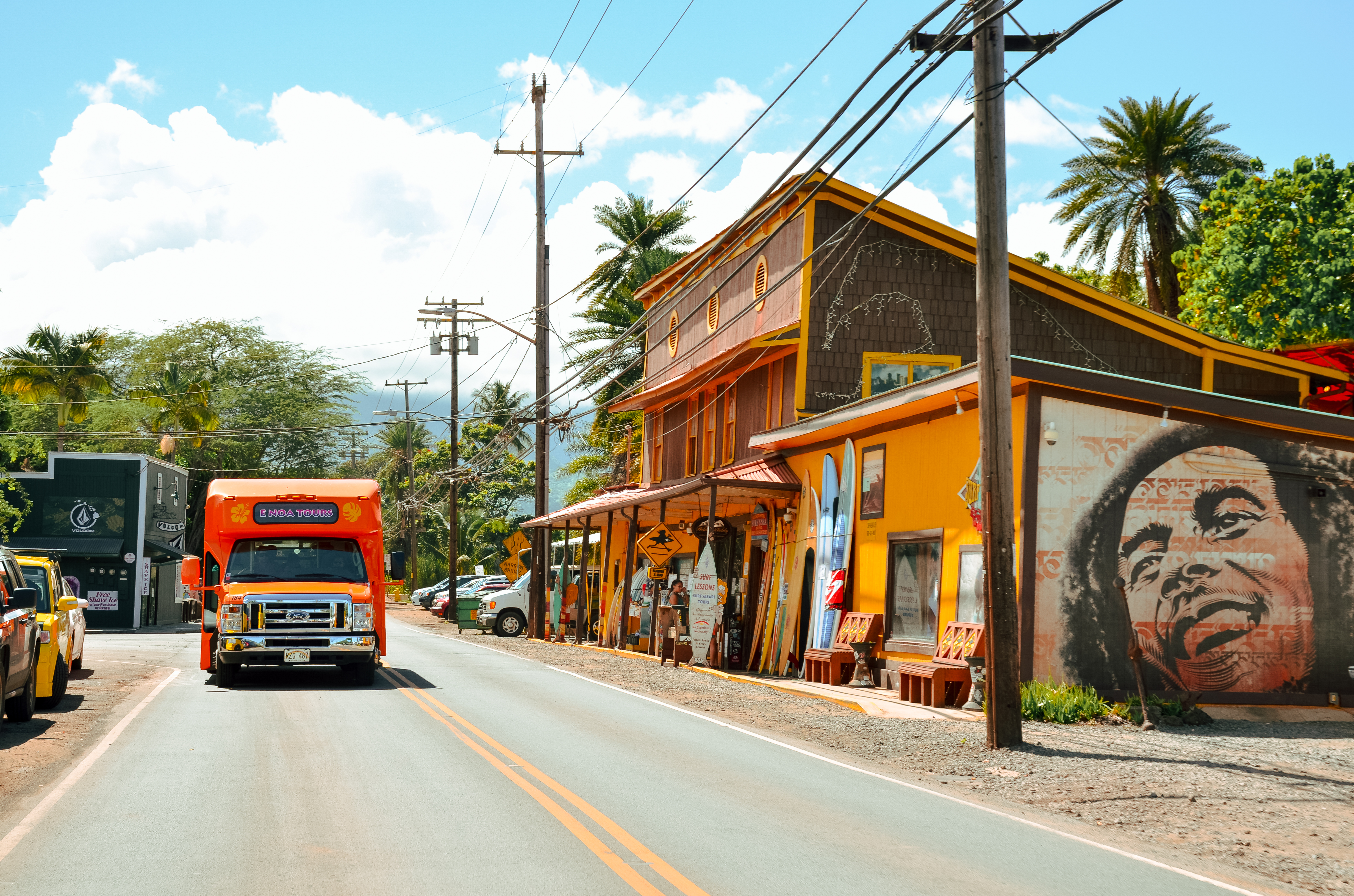 Product Haleiwa & North Shore Island Tour