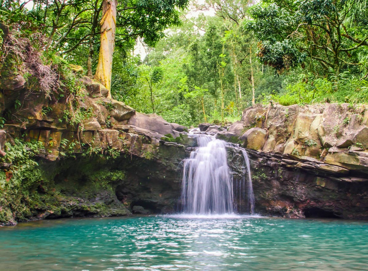 Product Waterfall &amp; Rainforest Hike With Transportation