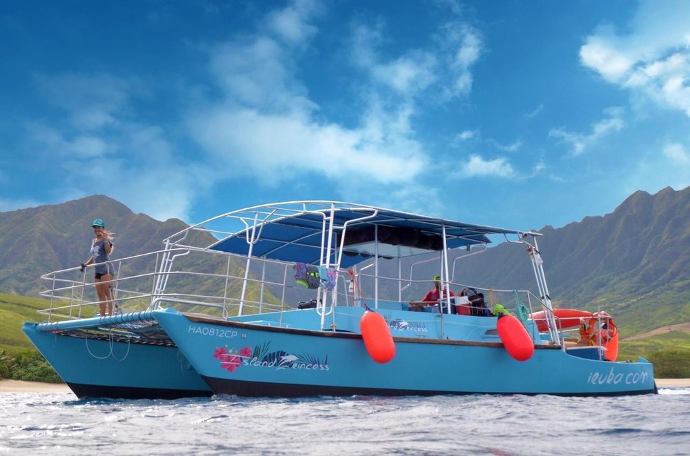 Product Morning Dolphin Swim &amp; Reef Snorkel With Ocean Activities