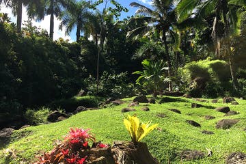 Product Botanical Garden Walk & Chocolate Tour