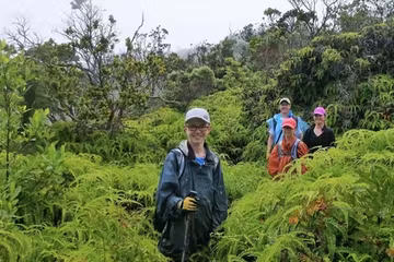 Product Custom Kauai Hiking Tour: 1-3 Hrs