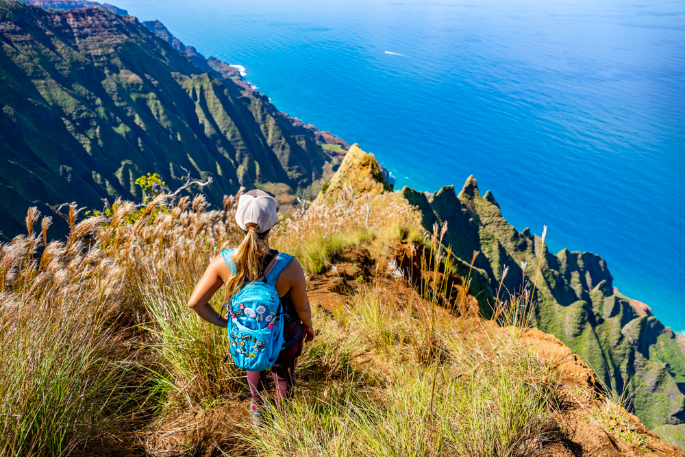 Product Custom Kauai Hiking Tour: Full Day Adventure