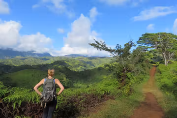 Product Custom Kauai Hiking Tour: 6-7 Hours