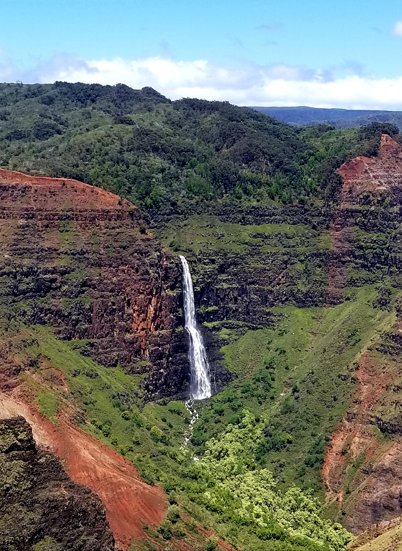 Product Private Waimea Canyon Tour