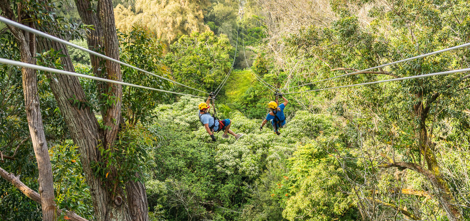 Product Kohala Zipline Canopy Tour