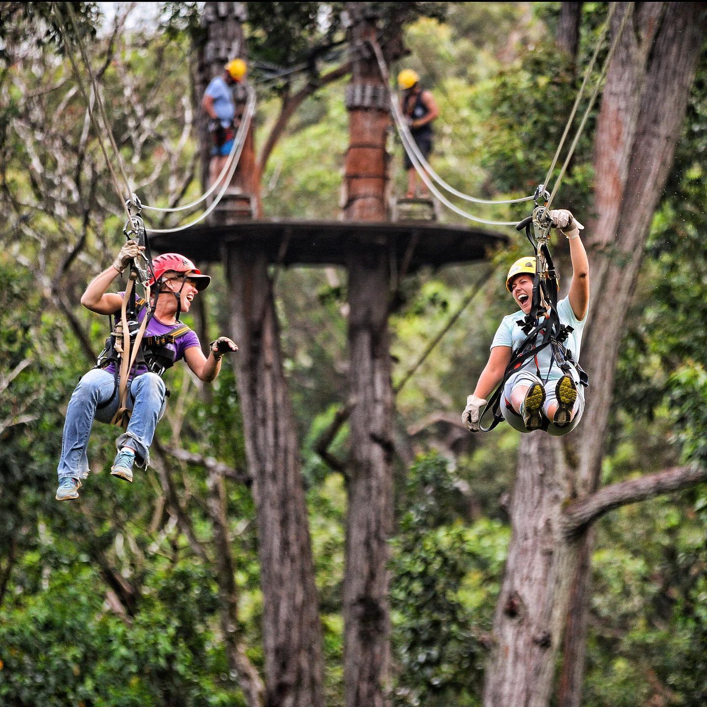 Product Kohala Zipline and Swim