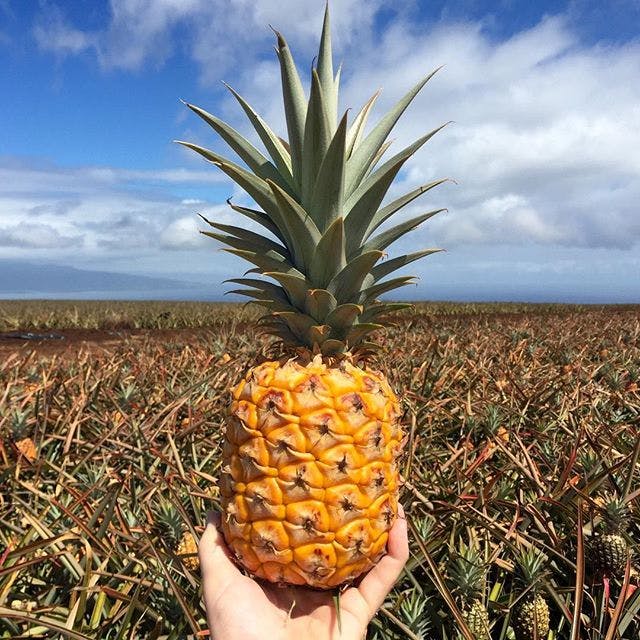 Product Maui Pineapple Tour