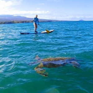 Product Lahaina Stand Up Paddle Lessons