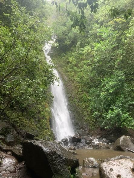 Product Jungle Waterfalls & Ancient Ruins Hiking Tour