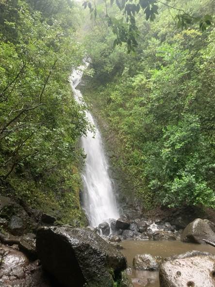Product Jungle Waterfalls &amp; Ancient Ruins Hiking Tour
