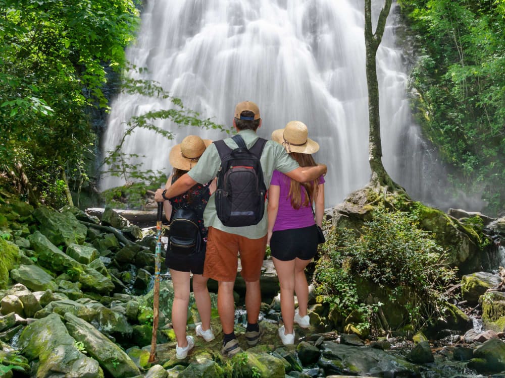 Product Jungle Waterfalls &amp; Ancient Ruins Hiking Tour