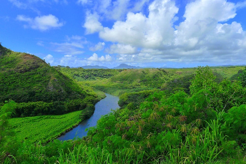 Product Waimea Canyon, Wailua River, &amp; Fern Grotto Tour