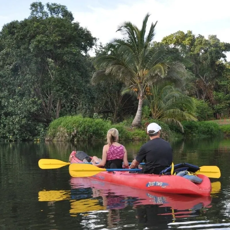 Product Afternoon Wailua Waterfall Kayak &amp; Hike Adventure